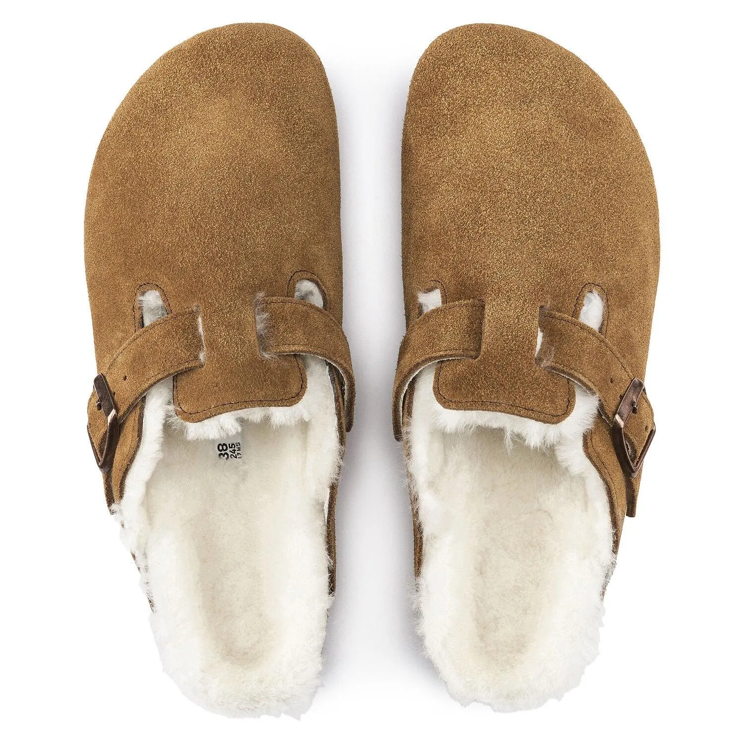 BOSTON SHEARLING